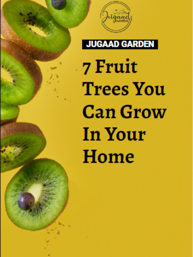 7 Fruit Trees You Can Grow In Your Home