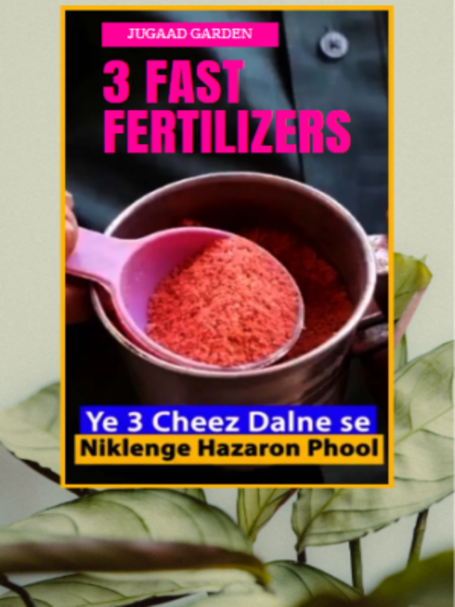 Fertilizer for you home garden.